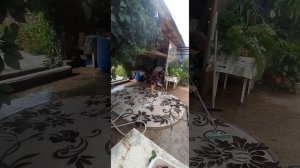 Как я мою паласы и ковры !  индивидуальная ручная стирка  ковров и паласов