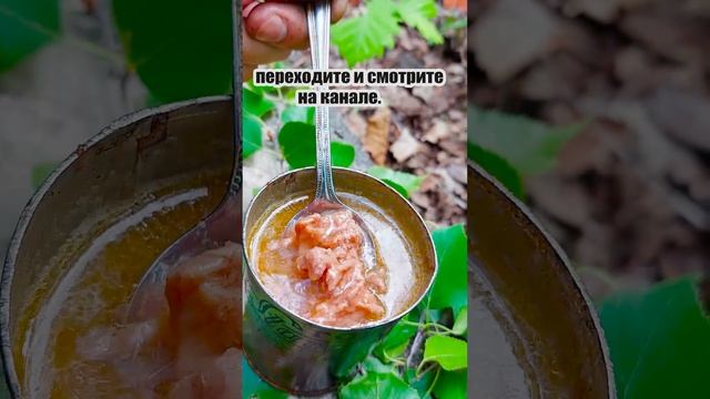 Телеграмм Канал: https://t.me/ProooEdy