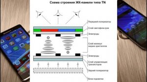По чесноку: чем отличаются дисплеи TFT и IPS