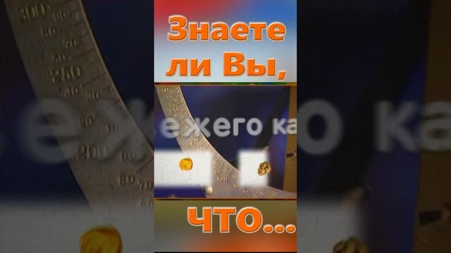 Знаете ли вы Что? Колибри