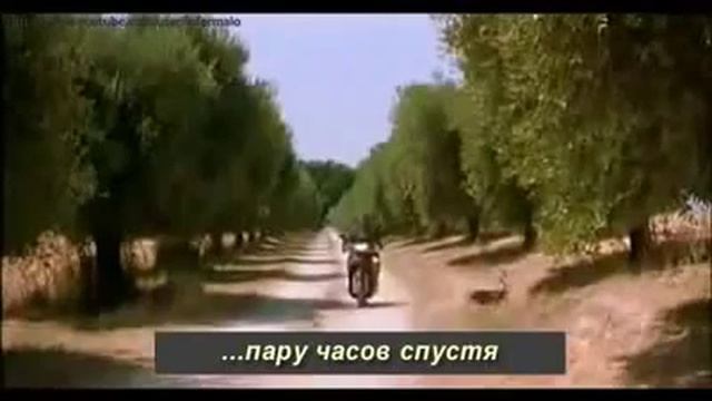 Сколько время осёл