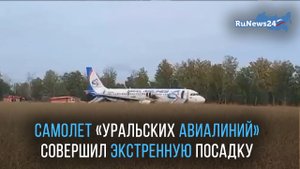 Срочная посадка самолета Airbus A320 «Уральских авиалиний» произошла на поле в Новосибирской области