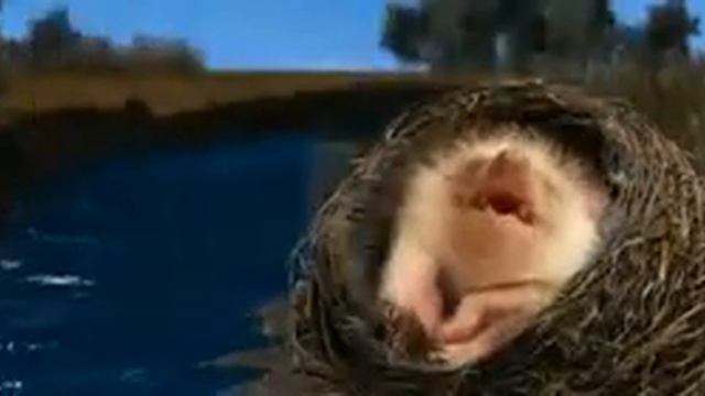 Любовь это страшная сила💪💪💪 смотреть онлайн