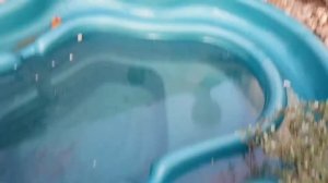 Декоративный пруд на загородном участке с рыбками