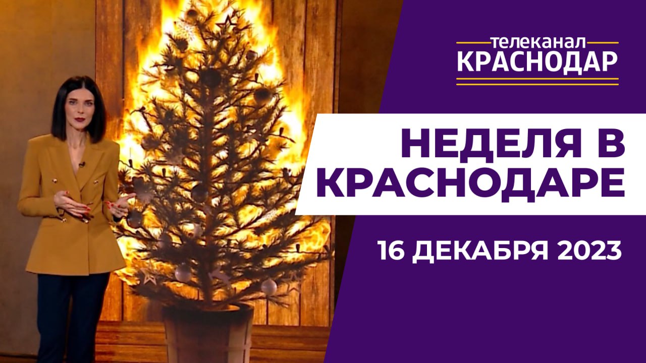«Прямая линия» с Владимиром Путиным, цены на елки и Дедов Морозов. Неделя в Краснодаре от 16 декабря