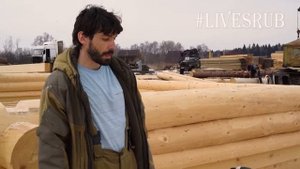 Обзор электропилы STIHL MSE 250 C