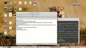 Скачиваем файлы в Linux