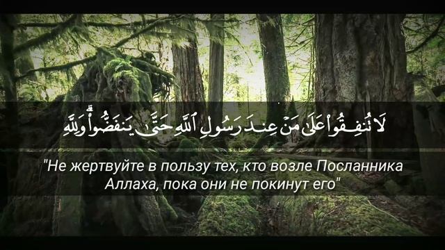 Омар суры. Сура 63 Аль Мунафикун лицемеры. Сура Аль Мунафикун. Омар Хишам чтение Суры мунафик. Сура 63.