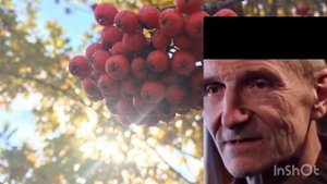 Пётр Мамонов:8 детей надо родить…Воля Божья