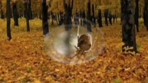 ... и осень слушала листвой одета...