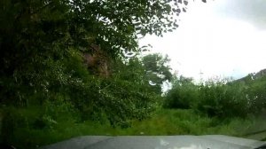 За новыми приключениями  19.08.2023