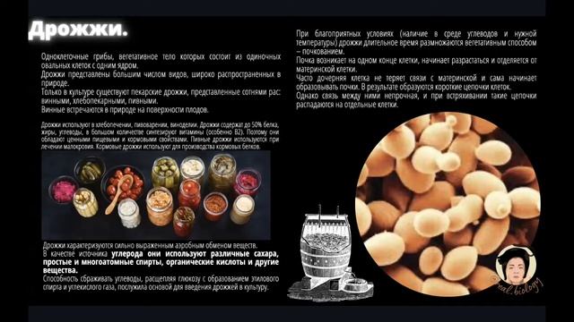 Грибы смотреть онлайн