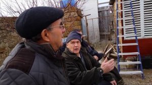 Николаевские голуби. Собрание голубеводов (Крым Евпатория)