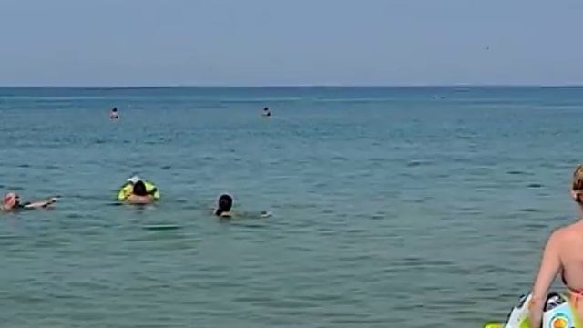 Куда плывут дельфины? Может они хотят пообщаться с отдыхающими? Посёлок Витязево. смотреть онлайн