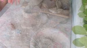 Садовый декор - бетонный ботинок. DIY.  concrete boot