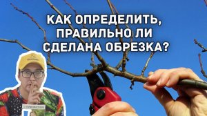 Как определить, правильно ли сделана обрезка?