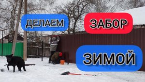 Можно ли делать ЗАБОР ЗИМОЙ ? Плюсы и минусы