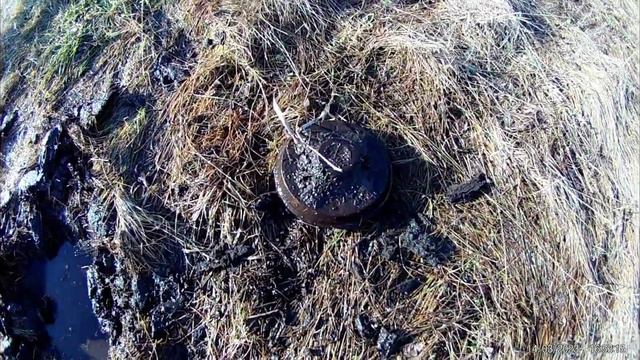 начало сезона металла копа 2023