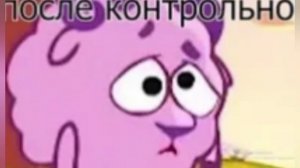 Сборник мемов про смешариков #14