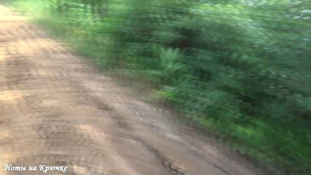 рыбалка и поход за грибами, лучший отдых в родных местах. смотреть онлайн