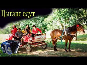 Цыгане едут // разбор на гармони