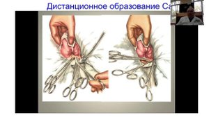 Лекция "Клинико-анатомическое обоснование операций на кишечнике"