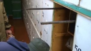 пчелопавильон Николая Суворова
