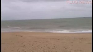 Тайфун Дамри в Нячанге Страшные кадры 4.11.2017 | Typhoon "Damrey" in Nha Trang, Vietnam