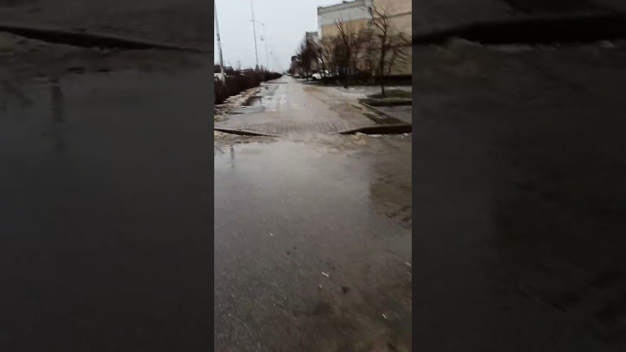 вот такая дождливая зима♀️