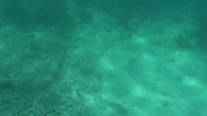 СЕЙШЕЛЫ МОРСКОЙ НАЦИОНАЛЬНЫЙ ПАРК