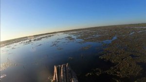 "Секреты приманки: щука на мертвую рыбку с лодки"