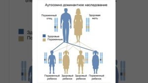 Нейрофиброматоз. Диагностика, причины, лечение нейрофиброматоза