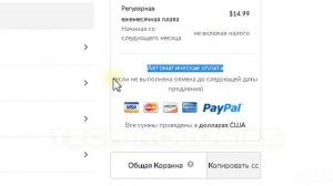 Как оплатить Zoom.  Переход к профессиональному плану от базовой бесплатной версии Зума. 2020 Апрел