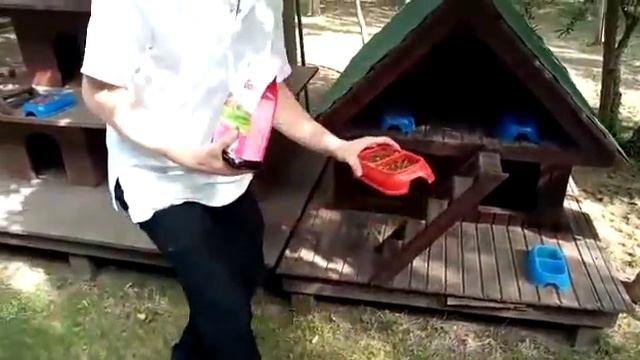 Kedi Evi Yapımı - Kedi Evi Nasıl Yapılır - Kedi Evi Tanıtımı смотреть онлайн