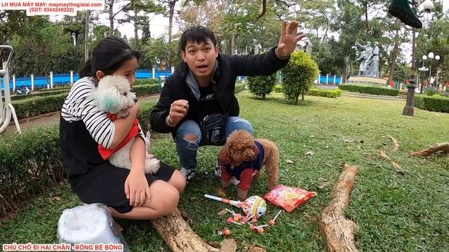 VỤ ÁN KẸO GIẢM CÂN - TẬP 6: PHÁ ÁN - ĐỘI THÁM TỬ SU XÍ XỌN ĐÃ BẮT GIỮ "KẺ BÁN KẸO GIẢM CÂN SIÊU BẨN смотреть онлайн