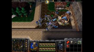 Warcraft 3 Classic: Royal Guard