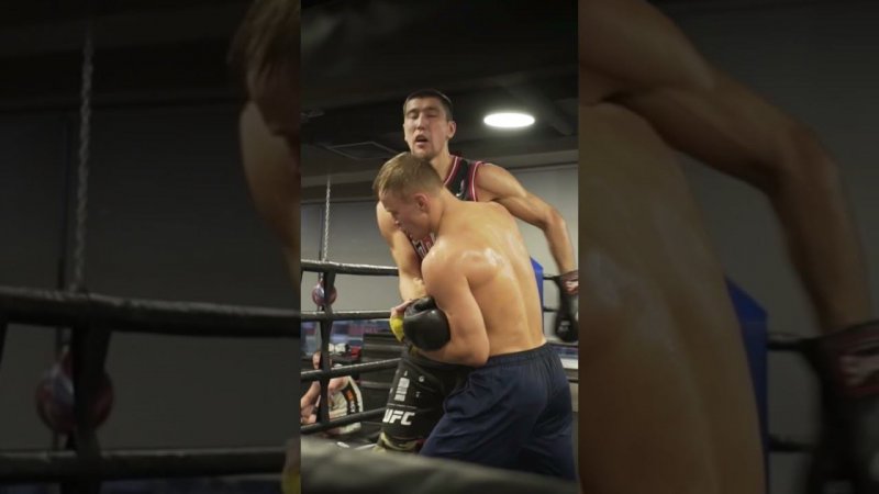 Секунданты Петра Яна | Спарринг на тренировке | Денис Лаврентьев vs Ильяс Хамзин | Высокий темп