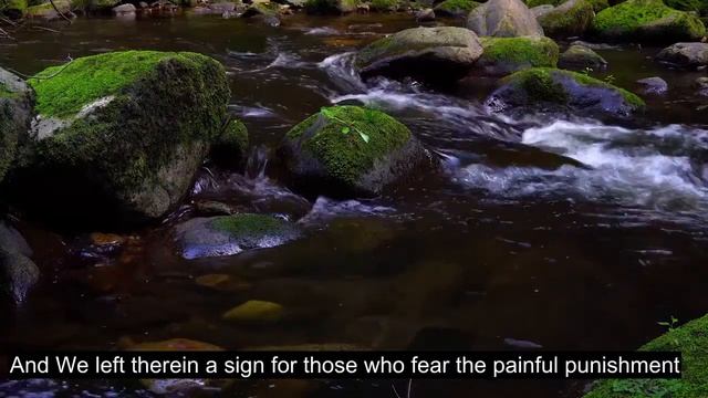 Chapter 51 The Winnowing Winds, Most Heart Touching Quran Recitation, 90+ Language Subtitles смотреть онлайн