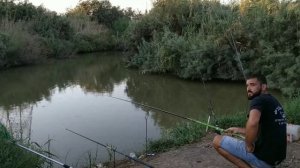 Река Кишон #1.  Наглый РЫБ уташил удочку. Новое место. 25.08.19 My fishing דייג בנחל קישון