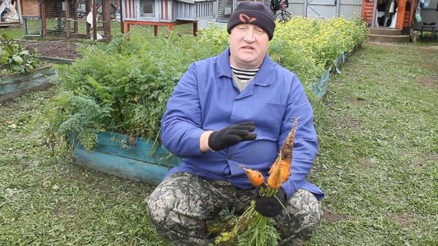 ЯРКИЙ ЖЕЛТОК В ЯЙЦЕ И 100% ЯЙЦЕНОСКОСТЬ.