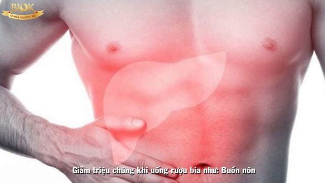 Bổ gan giải rượu Hovenia - Bio-Science смотреть онлайн