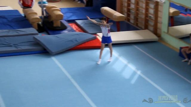 2 взрослый разряд по спортивной гимнастике. смотреть онлайн