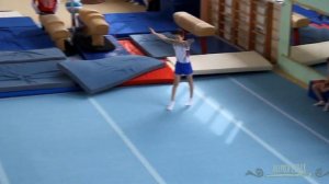2 взрослый разряд по спортивной гимнастике.