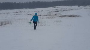 Той-фокстерьер и курсинг