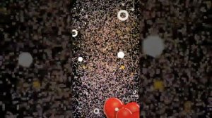 Губки   глазки  - Дмитрий Сокол