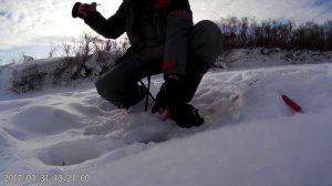 Рыбалка на Томи Зимой в ПЯТКОВО томь зимняярыбалка безмотылка