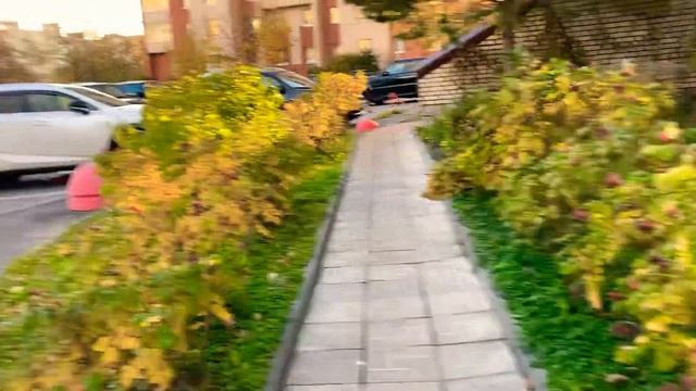 Вот такая прекрасная прогулка гуляем дальше всем прекрасного дня2.11.+5 смотреть онлайн