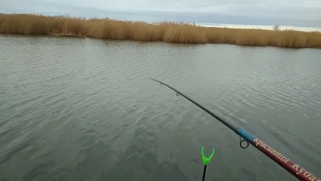 Тарань клюет одна за одной! ловля таранки в январе. в станице Брыньковская смотреть онлайн