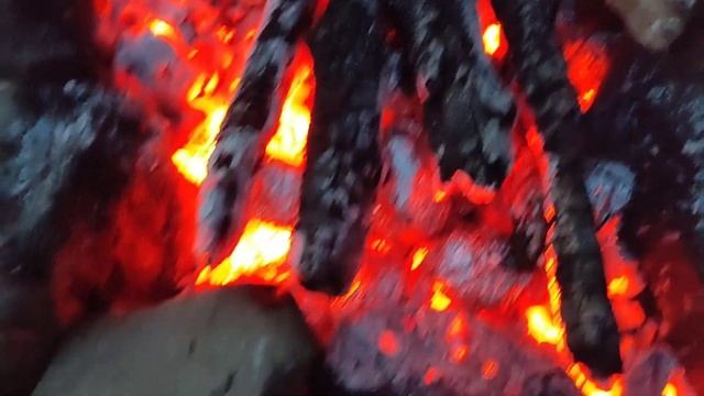 Нокта Легенд коп в Костромской области. смотреть онлайн