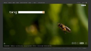 Bing Search Engine is Cool